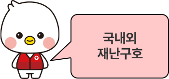 국내외 재난구호